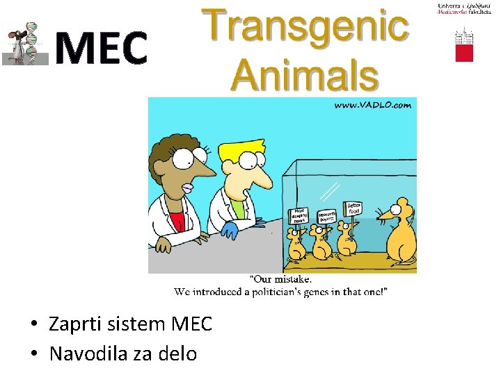 MEC • Zaprti sistem MEC • Navodila za delo 