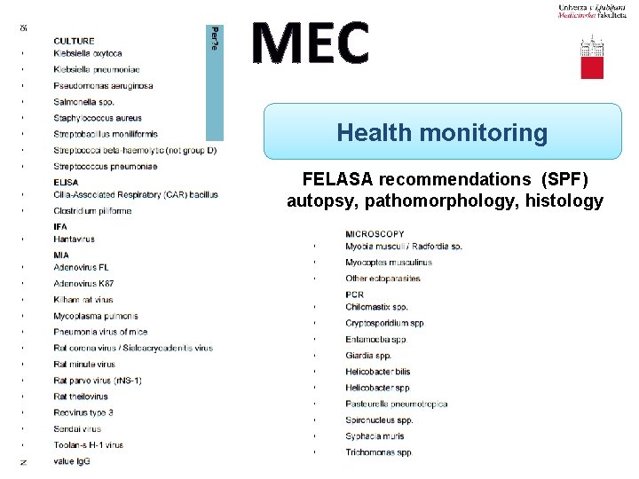 MEC Health monitoring FELASA recommendations (SPF) autopsy, pathomorphology, histology 