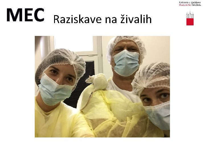 MEC Raziskave na živalih 