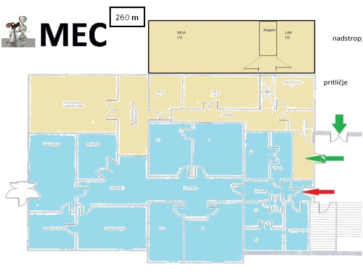 MEC 260 m 