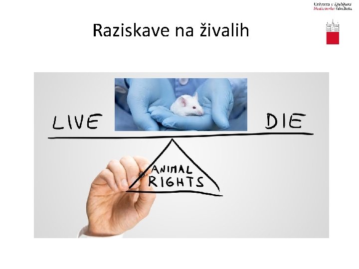 Raziskave na živalih 