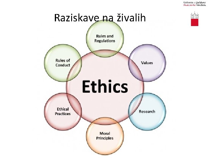 Raziskave na živalih 