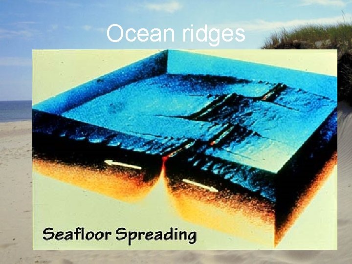 Ocean ridges 