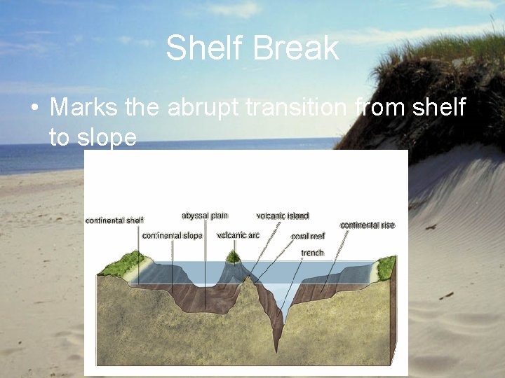 Shelf Break • Marks the abrupt transition from shelf to slope 