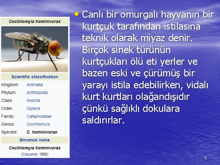  • Canlı bir omurgalı hayvanın bir kurtçuk tarafından istilasına teknik olarak miyaz denir.