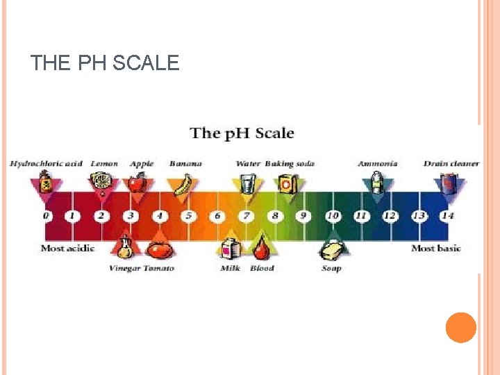 THE PH SCALE 
