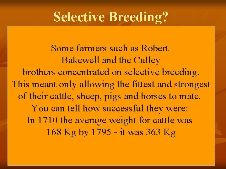 Selective Breeding? Some farmers such as Robert Bakewell and the Culley brothers concentrated on