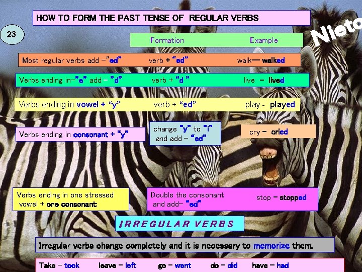 HOW TO FORM THE PAST TENSE OF REGULAR VERBS 23 Formation Example Most regular