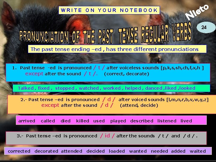 o t ie WRITE ON YOUR NOTEBOOK N 24 The past tense ending –ed