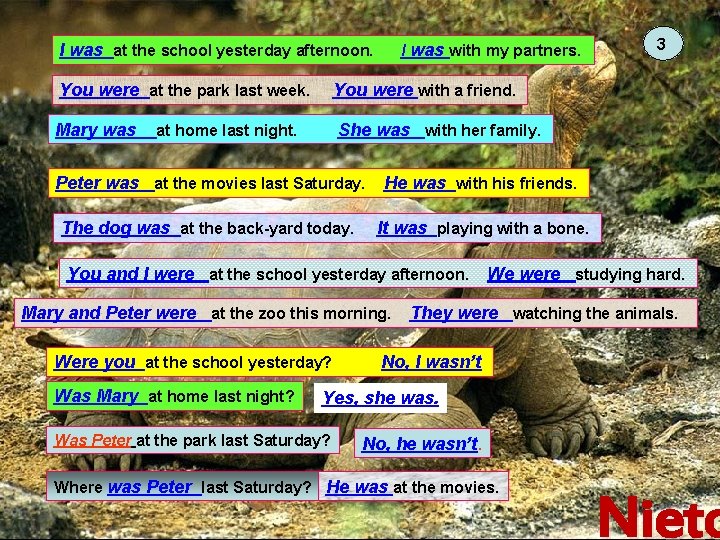 I was at the school yesterday afternoon. I was with my partners. You were