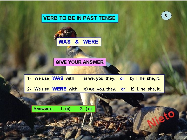 5 VERB TO BE IN PAST TENSE WAS & WERE GIVE YOUR ANSWER 1