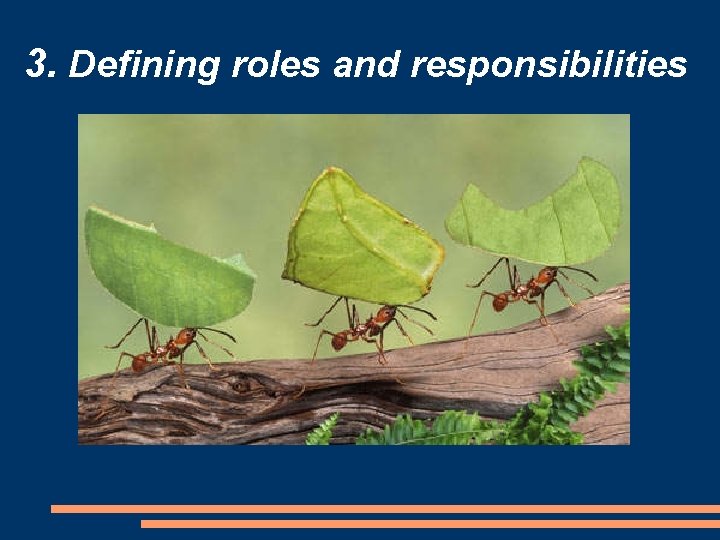 3. Defining roles and responsibilities 