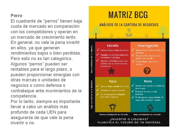 Perro El cuadrante de “perros” tienen baja cuota de mercado en comparación con los