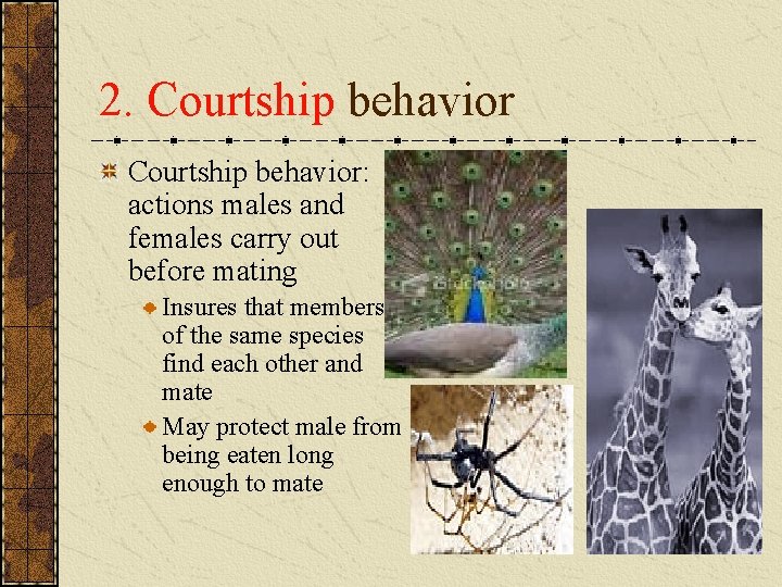 2. Courtship behavior: actions males and females carry out before mating Insures that members