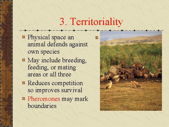3. Territoriality Physical space an animal defends against own species May include breeding, feeding,
