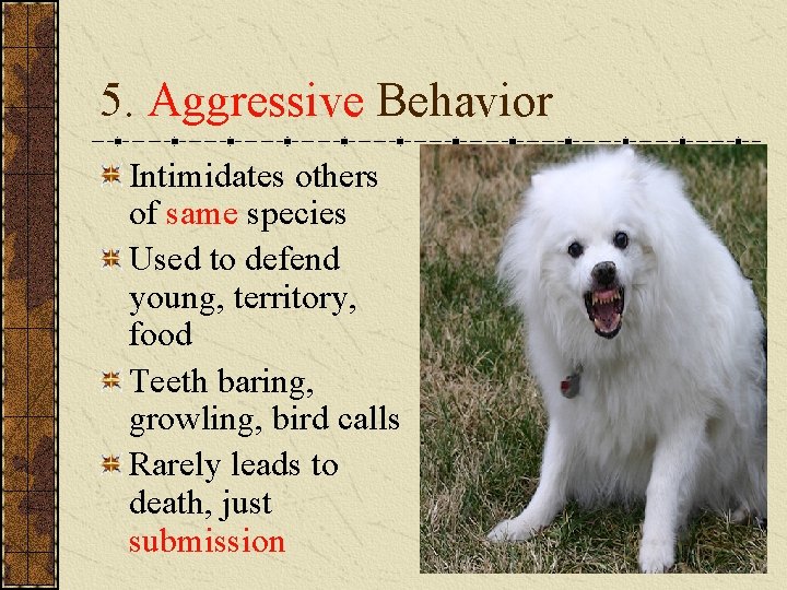 5. Aggressive Behavior Intimidates others of same species Used to defend young, territory, food