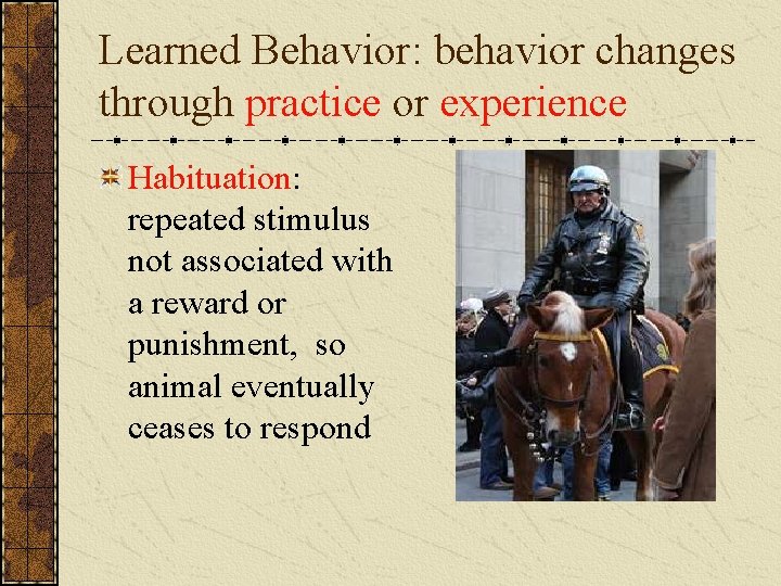 Learned Behavior: behavior changes through practice or experience Habituation: repeated stimulus not associated with