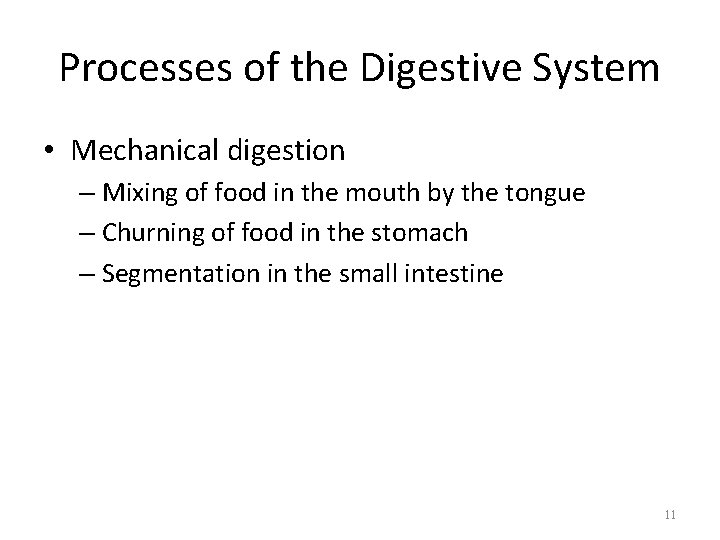 Processes of the Digestive System • Mechanical digestion – Mixing of food in the