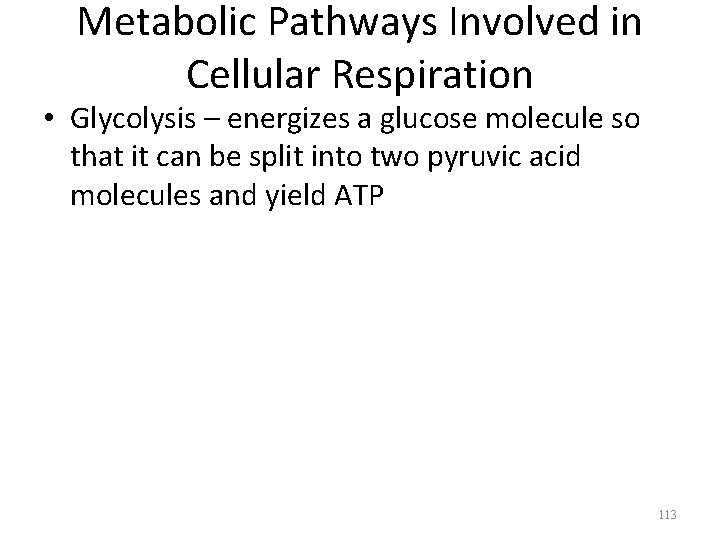 Metabolic Pathways Involved in Cellular Respiration • Glycolysis – energizes a glucose molecule so