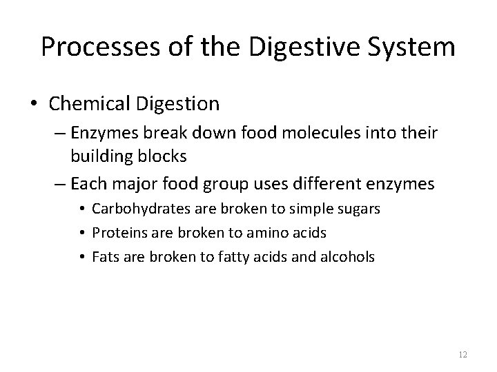 Processes of the Digestive System • Chemical Digestion – Enzymes break down food molecules