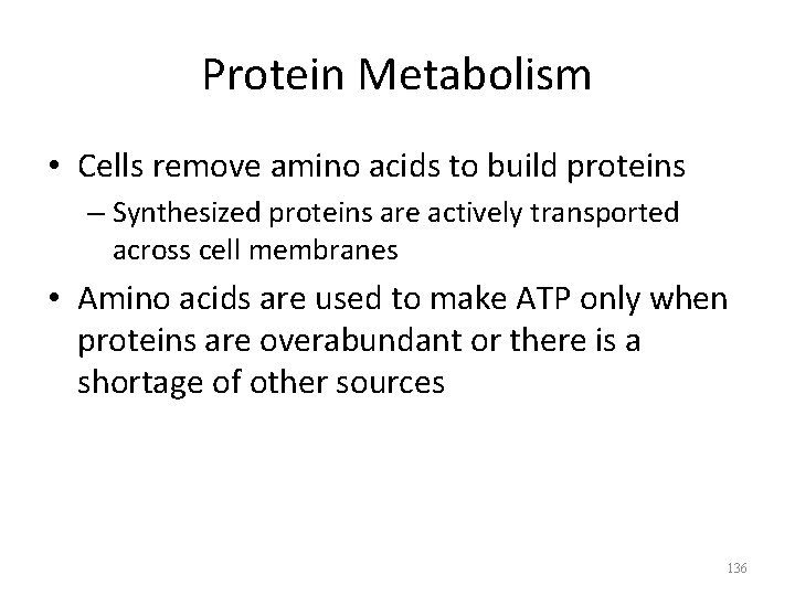 Protein Metabolism • Cells remove amino acids to build proteins – Synthesized proteins are