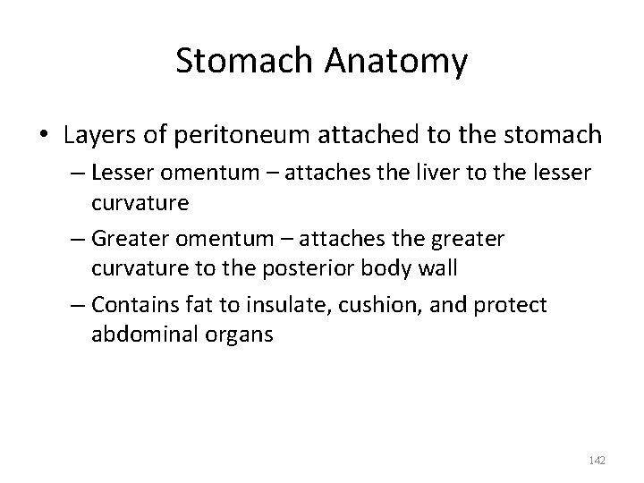 Stomach Anatomy • Layers of peritoneum attached to the stomach – Lesser omentum –