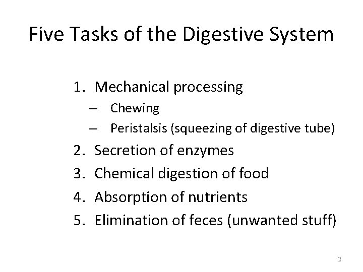 Five Tasks of the Digestive System 1. Mechanical processing – Chewing – Peristalsis (squeezing