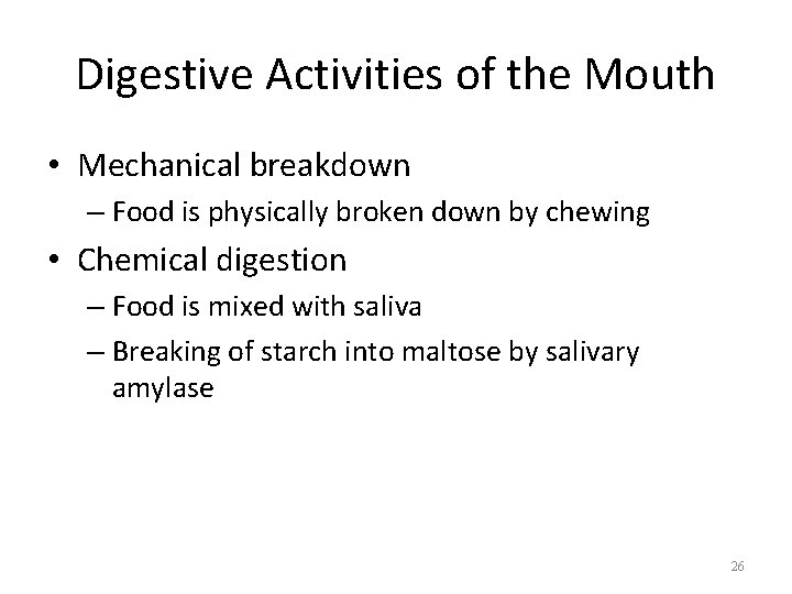 Digestive Activities of the Mouth • Mechanical breakdown – Food is physically broken down