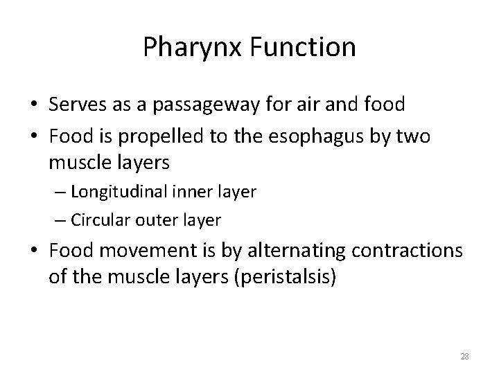Pharynx Function • Serves as a passageway for air and food • Food is