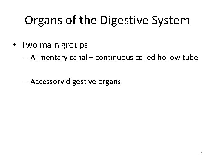 Organs of the Digestive System • Two main groups – Alimentary canal – continuous