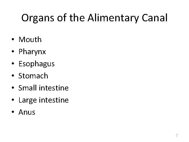 Organs of the Alimentary Canal • • Mouth Pharynx Esophagus Stomach Small intestine Large