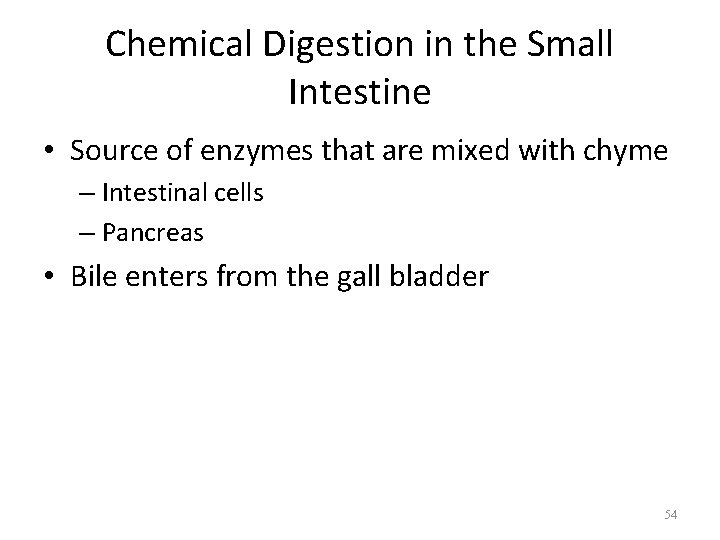 Chemical Digestion in the Small Intestine • Source of enzymes that are mixed with