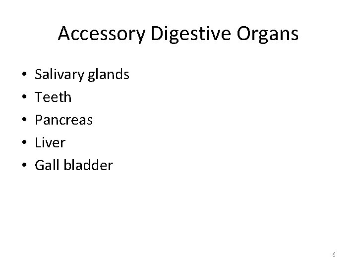 Accessory Digestive Organs • • • Salivary glands Teeth Pancreas Liver Gall bladder 6