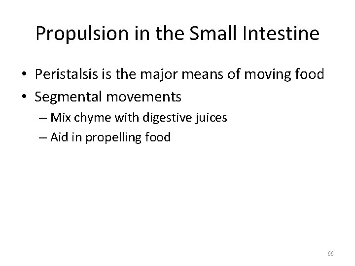 Propulsion in the Small Intestine • Peristalsis is the major means of moving food