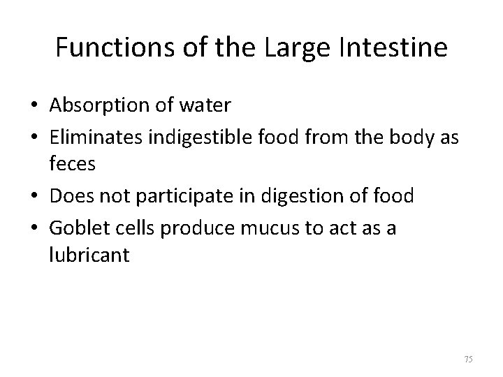 Functions of the Large Intestine • Absorption of water • Eliminates indigestible food from