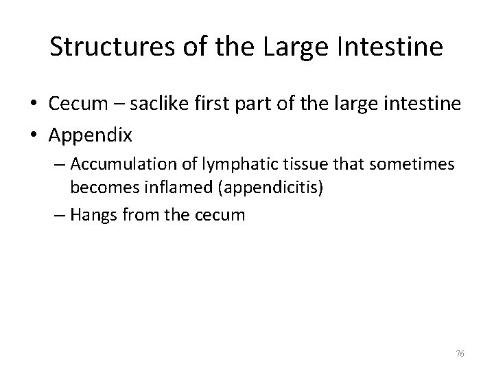 Structures of the Large Intestine • Cecum – saclike first part of the large