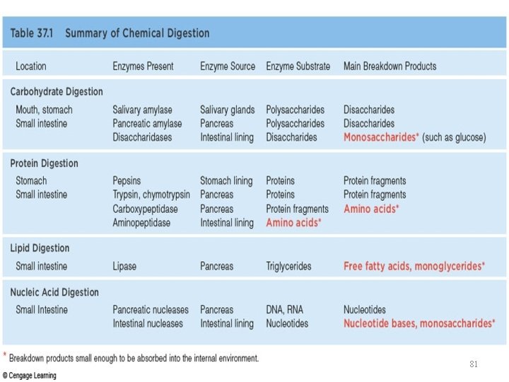 Chemical Digestion 81 