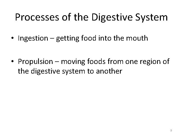 Processes of the Digestive System • Ingestion – getting food into the mouth •