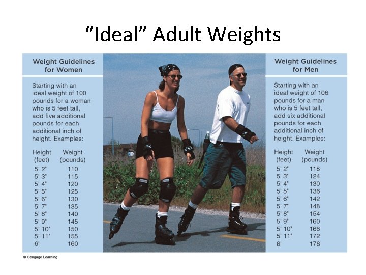 “Ideal” Adult Weights 