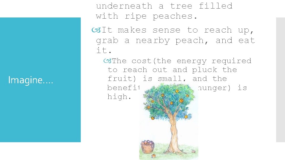 underneath a tree filled with ripe peaches. It makes sense to reach up, grab