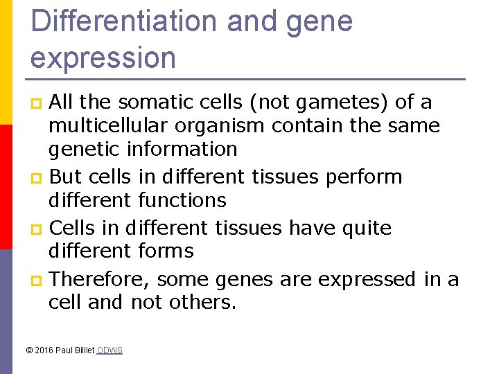 Differentiation and gene expression All the somatic cells (not gametes) of a multicellular organism
