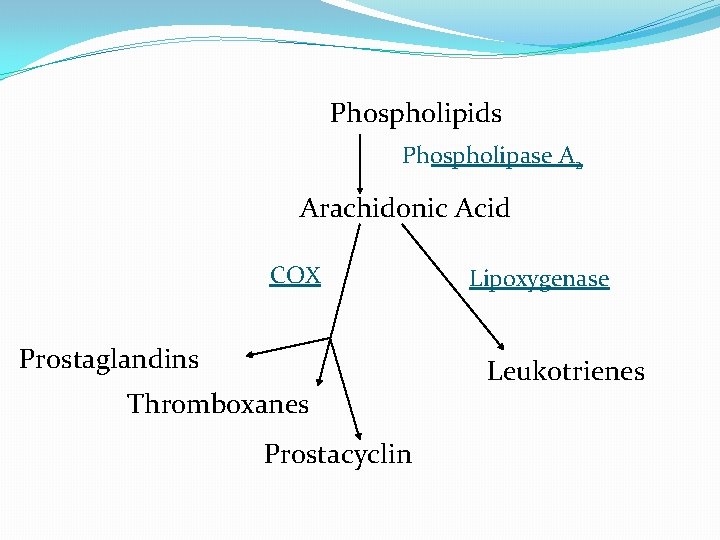 Phospholipids Phospholipase A 2 Arachidonic Acid COX Prostaglandins Thromboxanes Prostacyclin Lipoxygenase Leukotrienes 