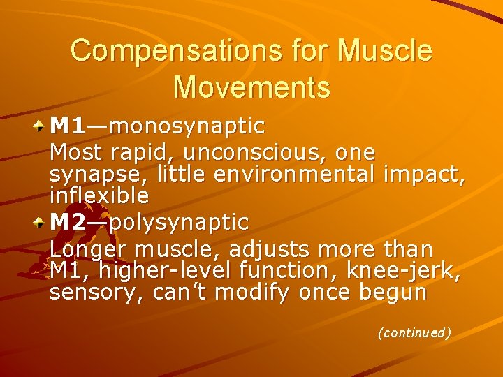 Compensations for Muscle Movements M 1—monosynaptic Most rapid, unconscious, one synapse, little environmental impact, Compensations for Muscle Movements M 1—monosynaptic Most rapid, unconscious, one synapse, little environmental impact,
