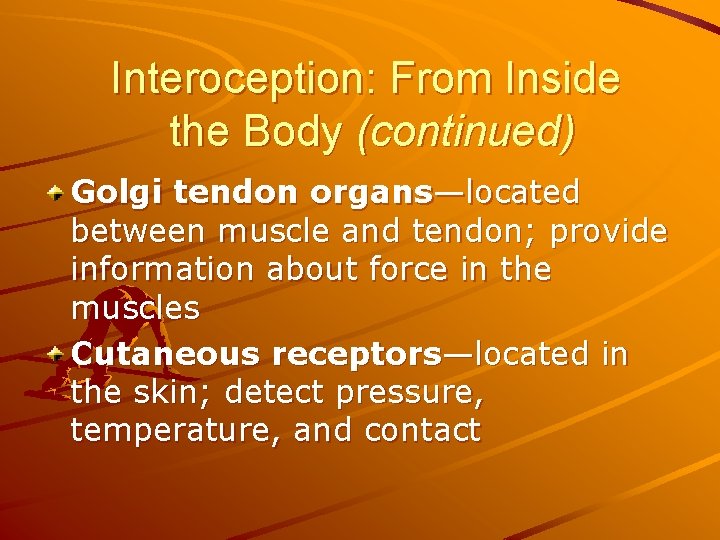 Interoception: From Inside the Body (continued) Golgi tendon organs—located between muscle and tendon; provide Interoception: From Inside the Body (continued) Golgi tendon organs—located between muscle and tendon; provide