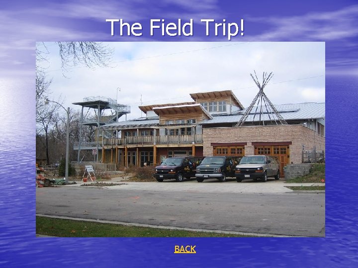 The Field Trip! BACK 