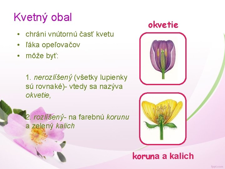 Kvetný obal • chráni vnútornú časť kvetu • ľáka opeľovačov • môže byť: okvetie