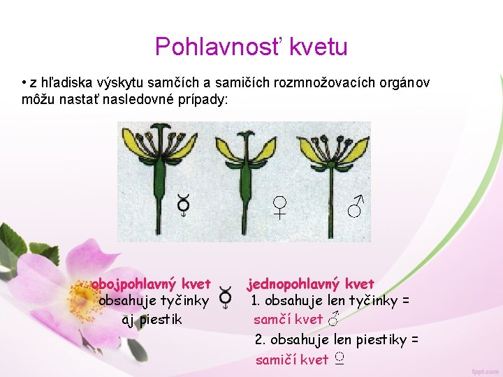 Pohlavnosť kvetu • z hľadiska výskytu samčích a samičích rozmnožovacích orgánov môžu nastať nasledovné