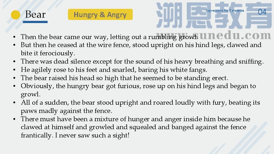 Bear Hungry & Angry Expressions for Reference 04 • Then the bear came our Bear Hungry & Angry Expressions for Reference 04 • Then the bear came our