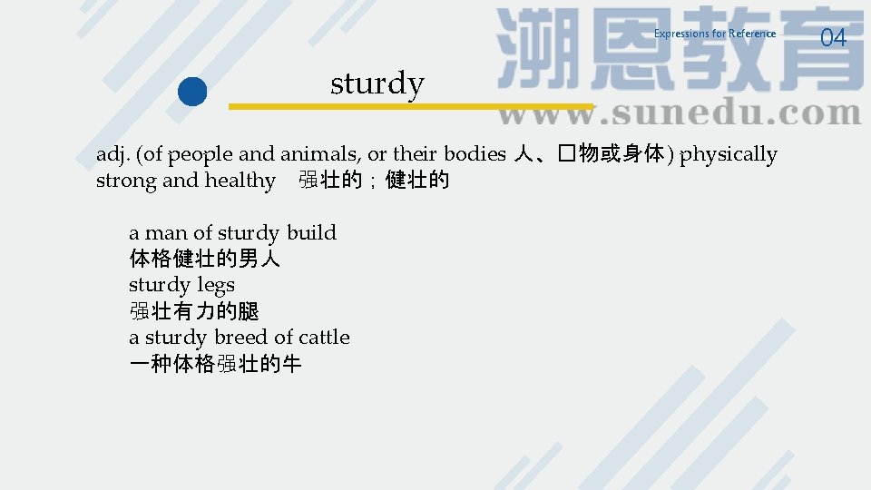 Expressions for Reference sturdy adj. (of people and animals, or their bodies 人、�物或身体 ) Expressions for Reference sturdy adj. (of people and animals, or their bodies 人、�物或身体 )
