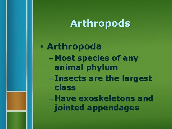 Arthropods • Arthropoda – Most species of any animal phylum – Insects are the